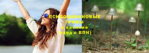 индика Абаза