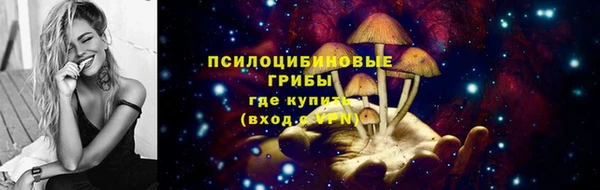 стафф Абинск