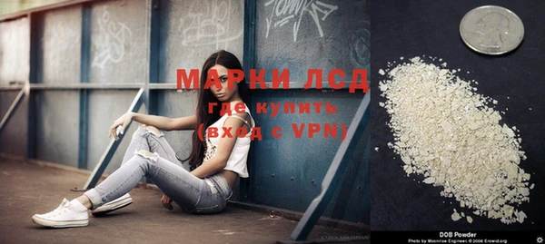 индика Абаза