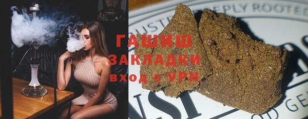 индика Абаза