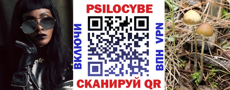 Псилоцибиновые грибы GOLDEN TEACHER где купить наркоту Лосино-Петровский